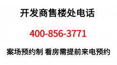 【广州城投湾区金融港】看房热线：✨他们还会